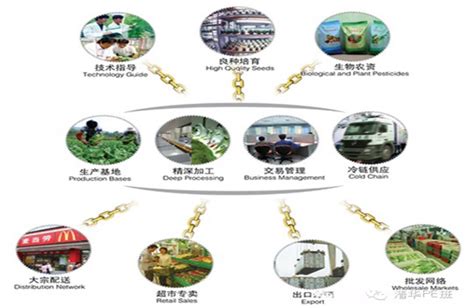 春涌南阳丨引领中国天然碱行业新未来——南阳市碱化工产业链发力循环经济实现低碳转型