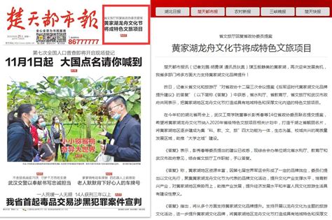 报眼图片