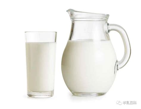 羊奶粉的好处和功效 羊奶粉的功效与作用_彩牛养生