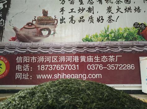 安徽铜陵：春来茶园绿 茶农采摘忙