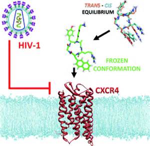 2021：HIV 功能性治愈研究新进展_病毒