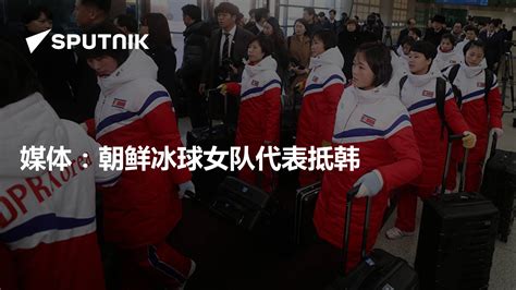 媒体：朝鲜冰球女队代表抵韩 - 2018年1月25日, 俄罗斯卫星通讯社