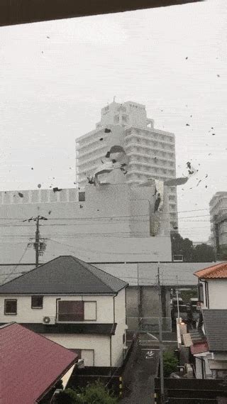 日本gif动图禁图片 日本gif动图禁图片