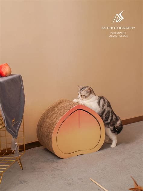 猫咪抓家具怎么办：抓挠行为、科学干预和限制能力 - 知乎
