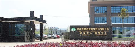 电气工程系赴河南龙翔电气股份有限公司开展结对帮扶-河南工业和信息化职业学院 电气工程系
