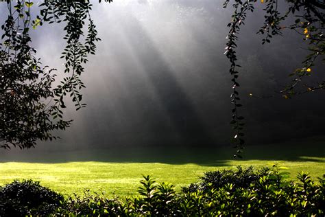 太阳雨图片