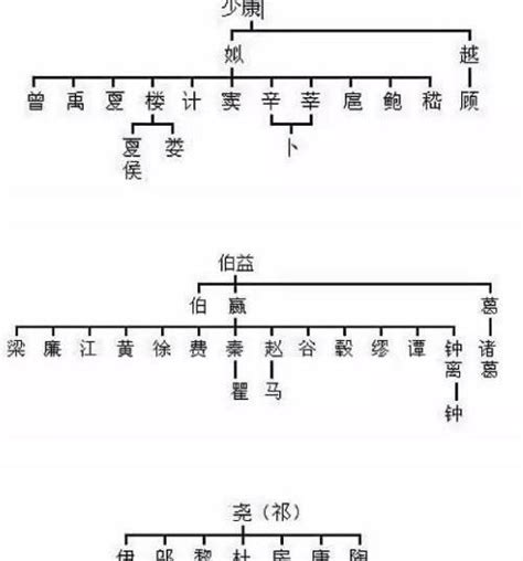 查查你自己姓氏的祖先 中国姓氏的祖先来自哪里