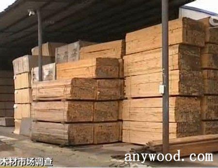 2021年中国木材产量及进出口贸易分析：我国木材产量减少369万立方米[图] 一、 中国森林 面积2020年全国林业用地面积为32368.55 ...