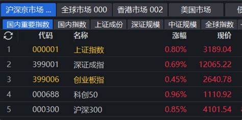 【每日收评】指数午后探底回升，沪指涨0.8%_财富号_东方财富网