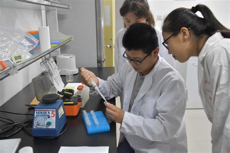 学生参与教师科研项目及在教师指导下进行毕业设计-玉米分子育种研究院