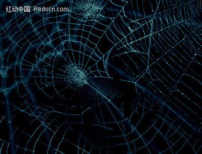 网络蜘蛛爬行网页的策略（网站怎么吸引蜘蛛）-8848SEO