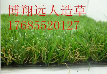 草坪出售|草坪批发|北京草坪价格-北京专业草坪种植园
