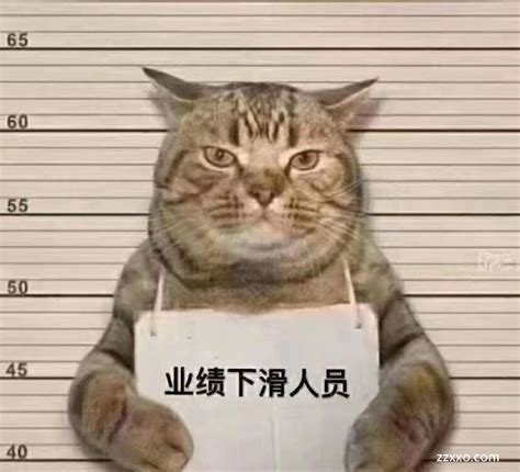 进监狱表情包图片