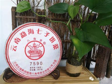 2片 2020年八角亭 凤舞九天 普洱茶生茶 357g/饼 - 拍卖
