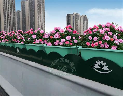 商业广场实木花箱 1米种植大花箱 户外专用 其它规格-阿里巴巴