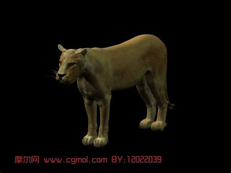 小狮子3D-3D打印模型下载-3D工场 3Dworks.cn