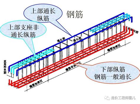 柱子钢筋图解图片