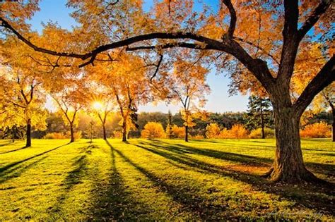 25张美丽的秋天风景摄影(2) - 设计之家