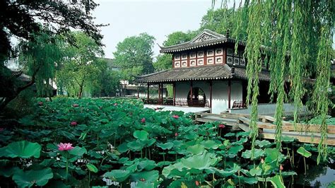 中国古典园林六要素，爱传统文化的你不可不知|园林|建筑|植物_新浪新闻