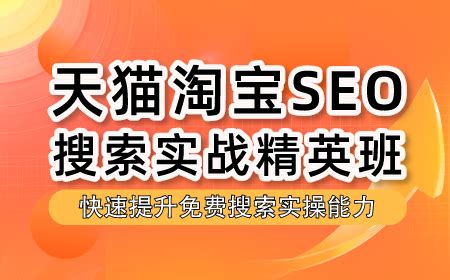 搜外网：SEO培训入门图文教程、网络营销技术视频网课