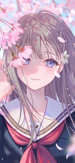 樱花少女图片