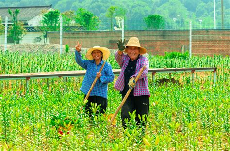 新农人·兴农人丨女大学生回乡，吸引院士一起来种地