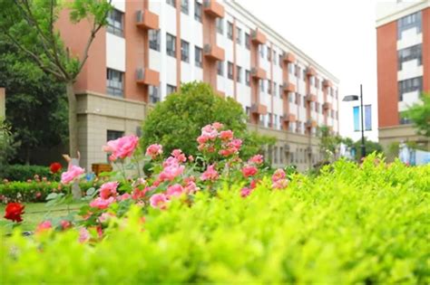 西安未央凤凰城小学获评“区级绿色学校”称号 【精神文明网】