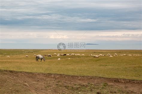 青海湖岸边牧民的家园摄影图3000*2000图片素材免费下载-编号979615-潮点视频