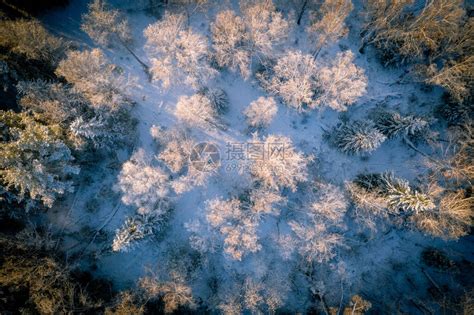 从高处看寒冷的西伯利亚森林高清图片下载-正版图片504076571-摄图网