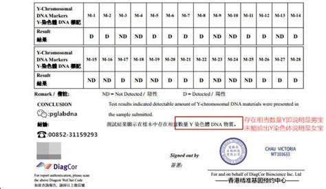 血常规化验单怎么看？掌握这四项就全懂了！_检查