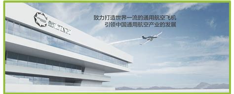 中电科芜湖钻石飞机制造有限公司-中电科芜湖钻石飞机制造有限公司