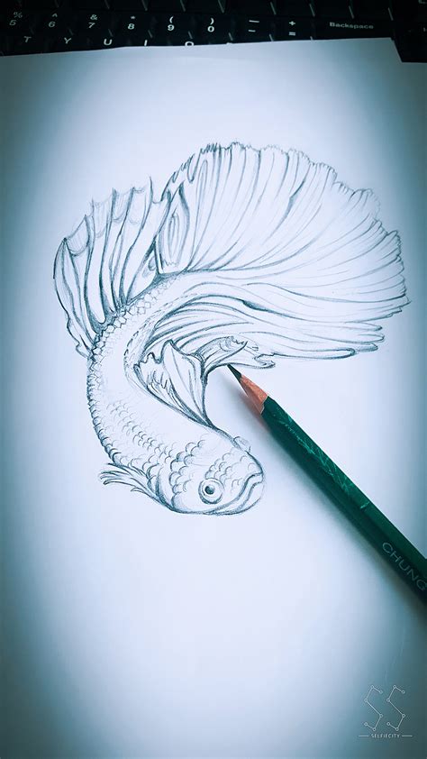 我想变成一条鱼|纯艺术|绘画|红海游鱼 - 原创作品 - 站酷 (ZCOOL)