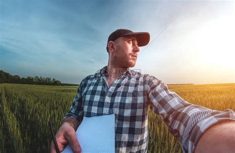 男农艺家在顶部记录在一本小麦绿农业田的笔高清图片下载-正版图片503754708-摄图网