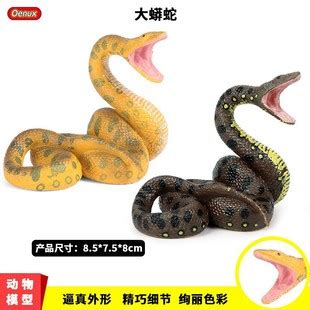 仿真野生动物盘旋大蟒蛇玩具 野生巨蟒模型两栖爬行动物整蛊玩具-阿里巴巴