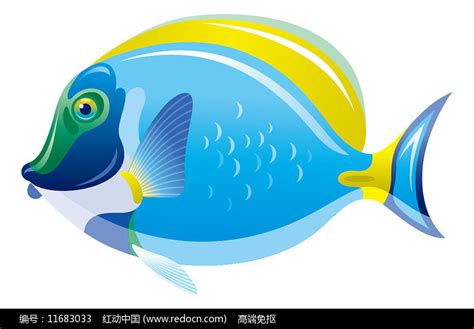 彩色鱼元素素材下载-正版素材401515845-摄图网