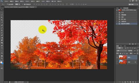 Photoshop抠图教程之一图多抠(6)-PS抠图教程-PSDEE教程网