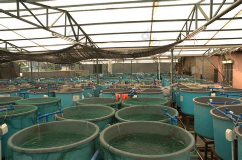 新型水产养殖设备“工厂化”养鱼，探出生态环保养殖新路径 - 知乎