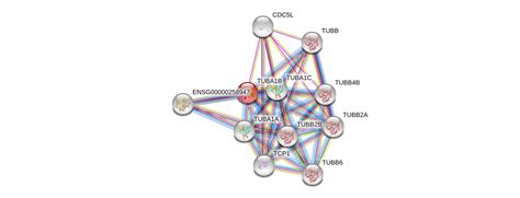 甘薯基因组NBS-LRR类抗病家族基因挖掘与分析