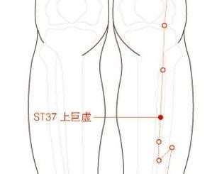 虚里的准确位置图图片 虚里的准确位置图图片