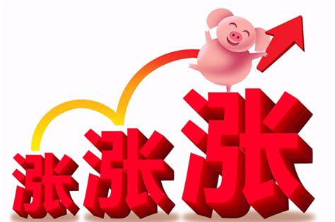 猪价已实现6连阳，下半年还会大涨吗?机构：猪价上涨行情或已步入中后期 - 猪好多网