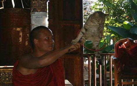 猫跳寺—缅甸寺院-佛教导航