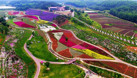 枝江 | 安福寺镇： 做强新生态绿色食品产业 建成示范引领“百亿”园区_长江云 - 湖北网络广播电视台官方网站