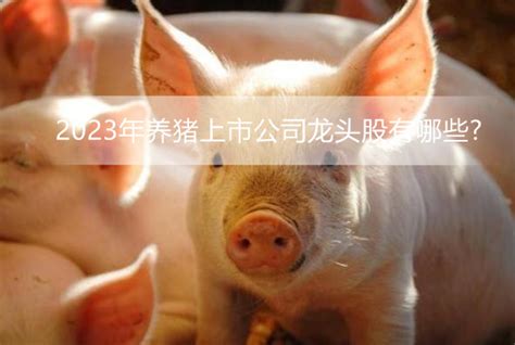 养猪股票一览表2023(2023年养猪概念股整理) - 南方财富网