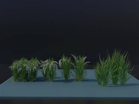 现代水稻3d模型下载-【集简空间】「每日更新」