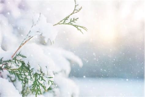 写雪的古诗词有很多，但写雪却没有一个雪字的诗句，你知道多少？|白雪|观雪|古诗词_新浪新闻