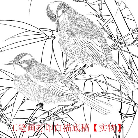 白头丛竹图图片