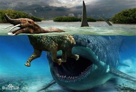 地球远古时期10大最凶猛的动物，个个都是史前猛兽，你都认识吗？_身长