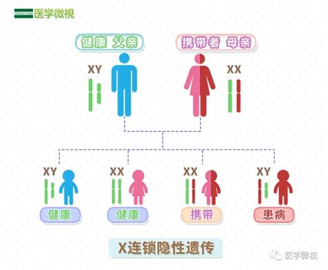 染色体异常能正常怀孕生小孩吗？ - 美国试管婴儿_第三代试管婴儿技术_美国EFC生殖中心