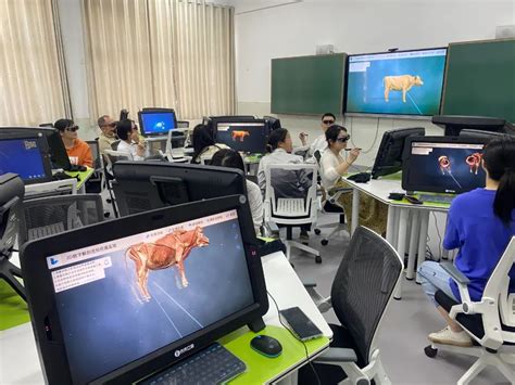 案例|畜牧兽医专业虚拟仿真实训室，在湖南娄底职业技术学院成功落地！