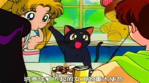 美少女战士人形露娜和亚提密斯画师Twi:图片